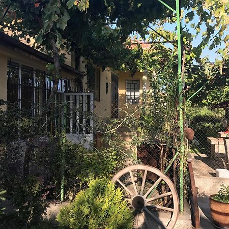 Guesthouse Planinsko Gnezdo Tŭzha Exteriör bild