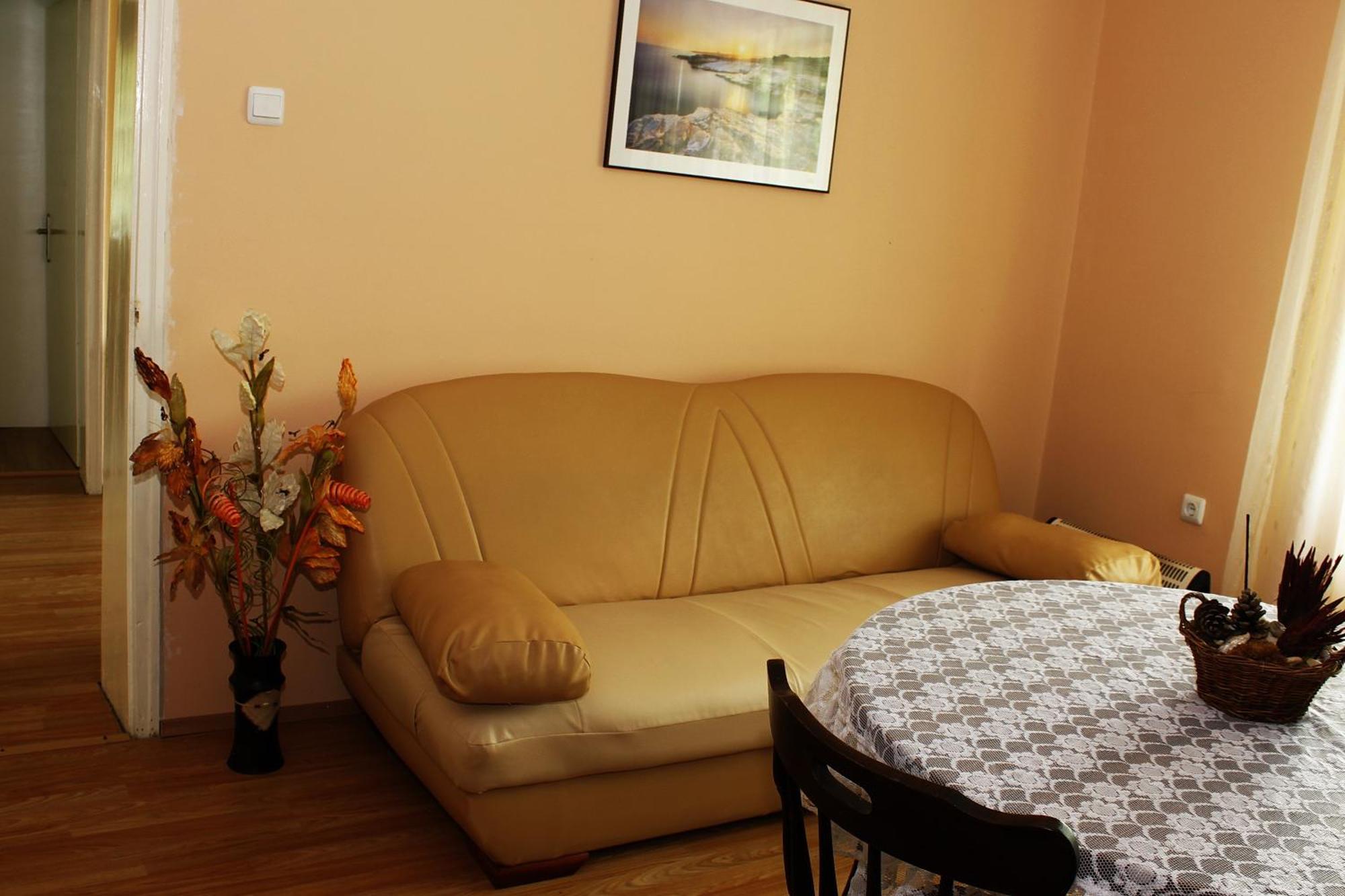 Guesthouse Planinsko Gnezdo Tŭzha Exteriör bild