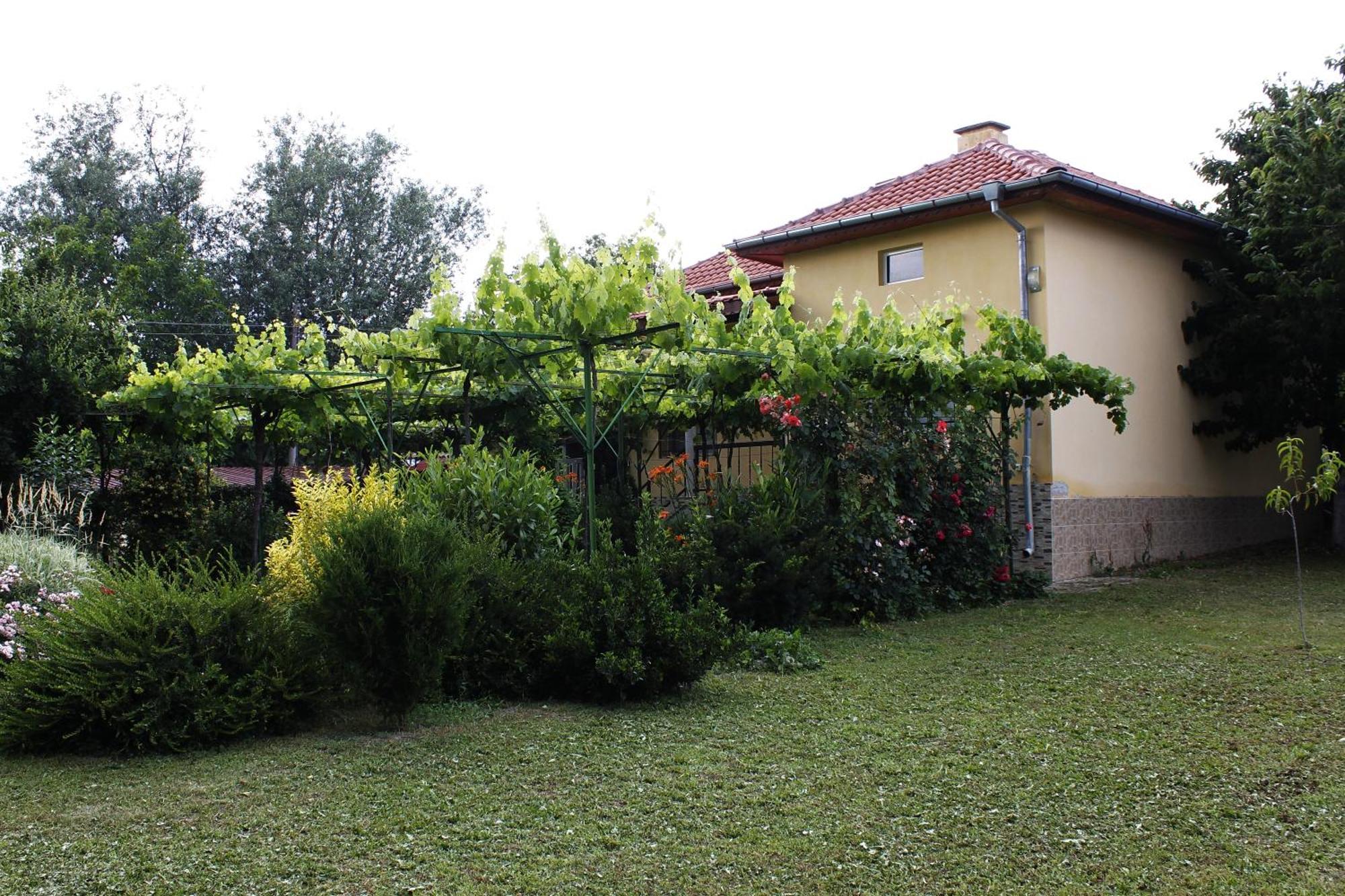 Guesthouse Planinsko Gnezdo Tŭzha Exteriör bild