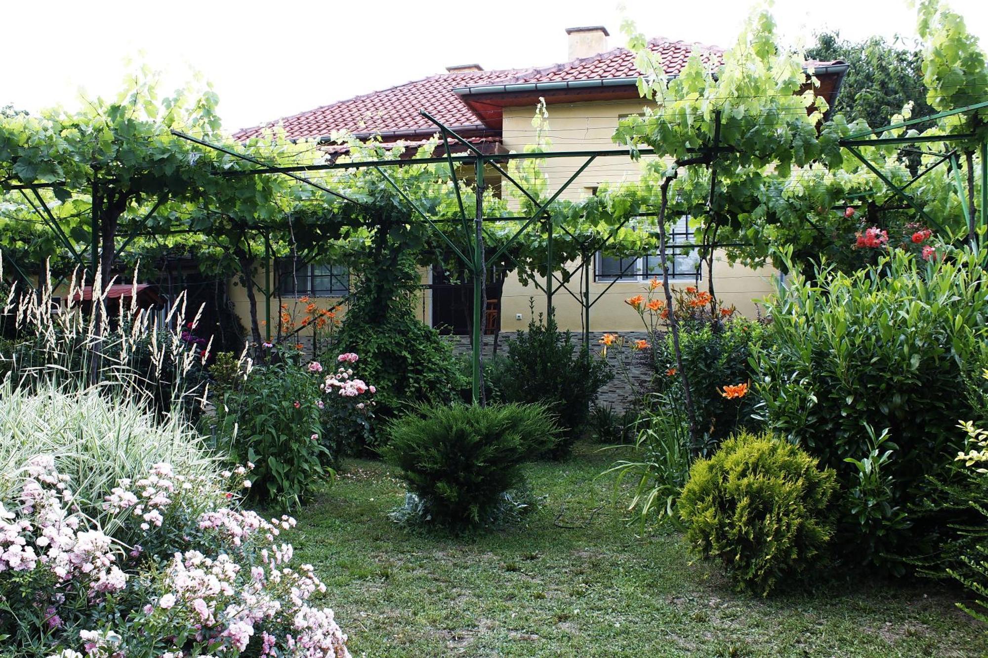 Guesthouse Planinsko Gnezdo Tŭzha Exteriör bild