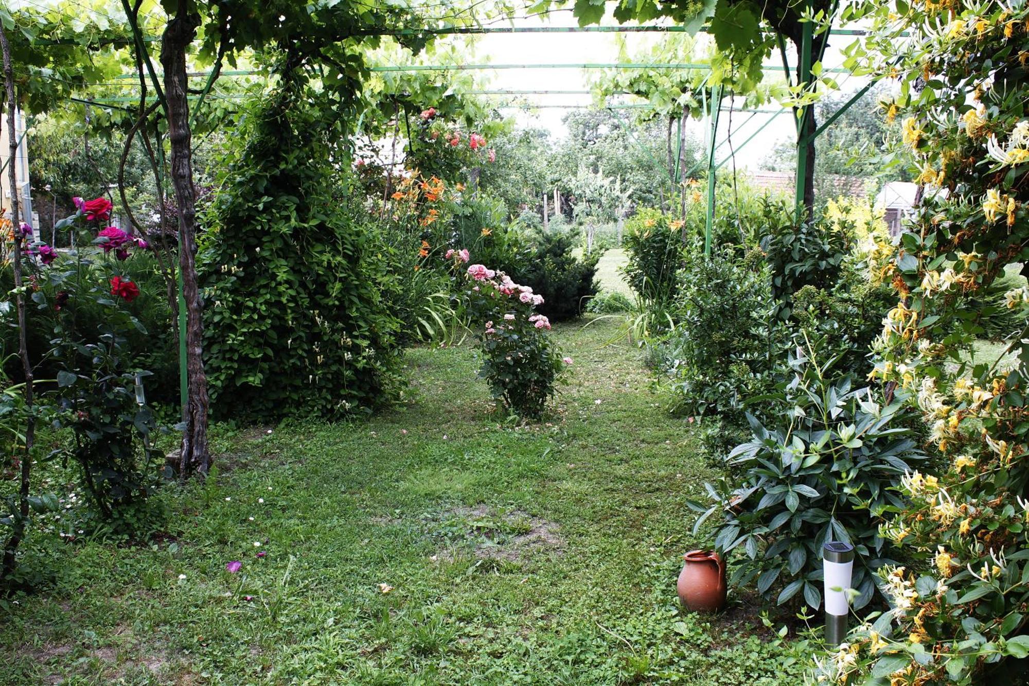 Guesthouse Planinsko Gnezdo Tŭzha Exteriör bild