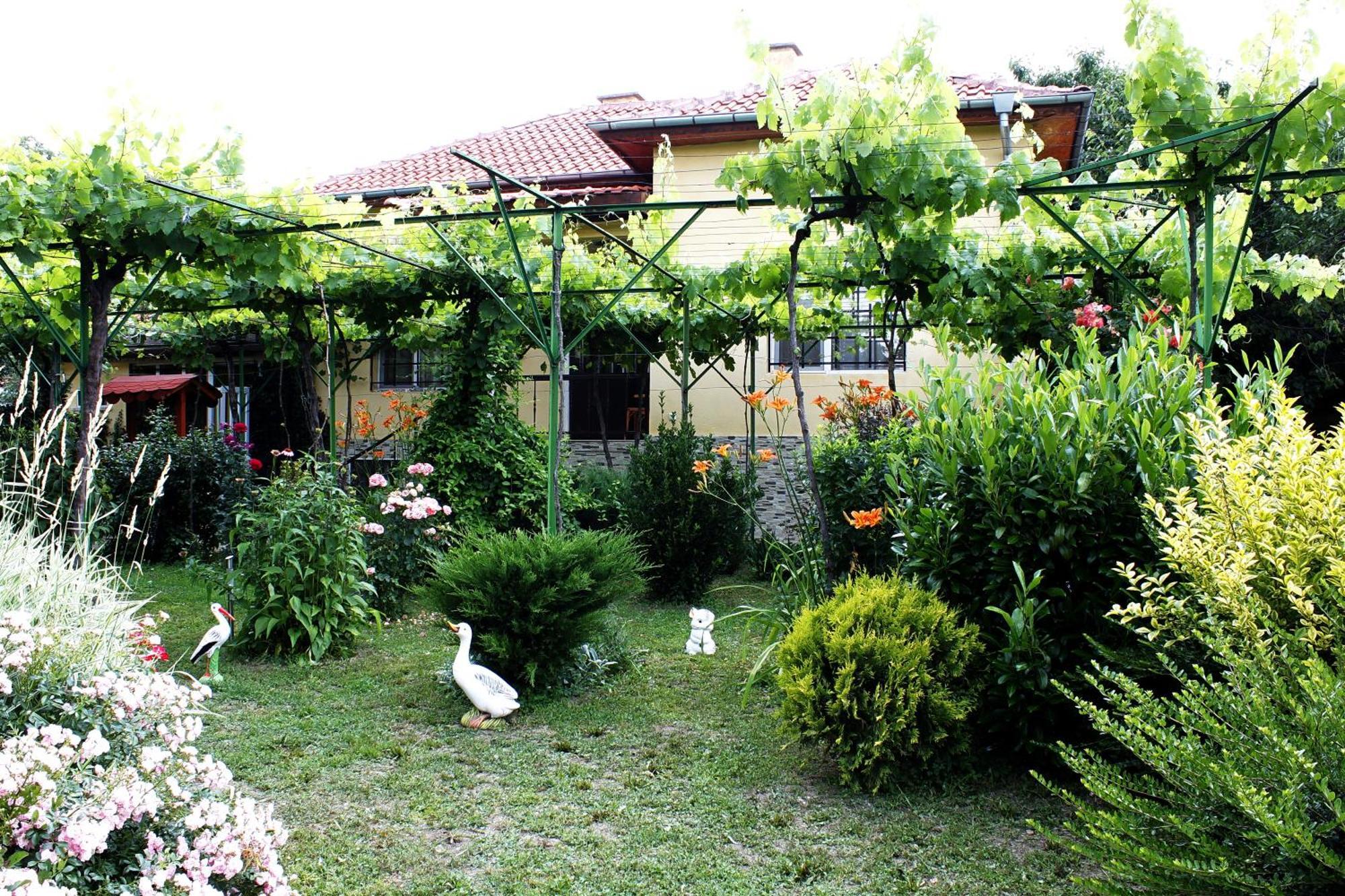 Guesthouse Planinsko Gnezdo Tŭzha Exteriör bild