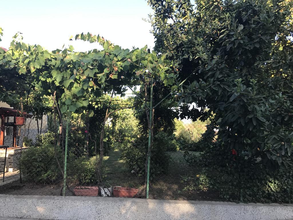 Guesthouse Planinsko Gnezdo Tŭzha Exteriör bild