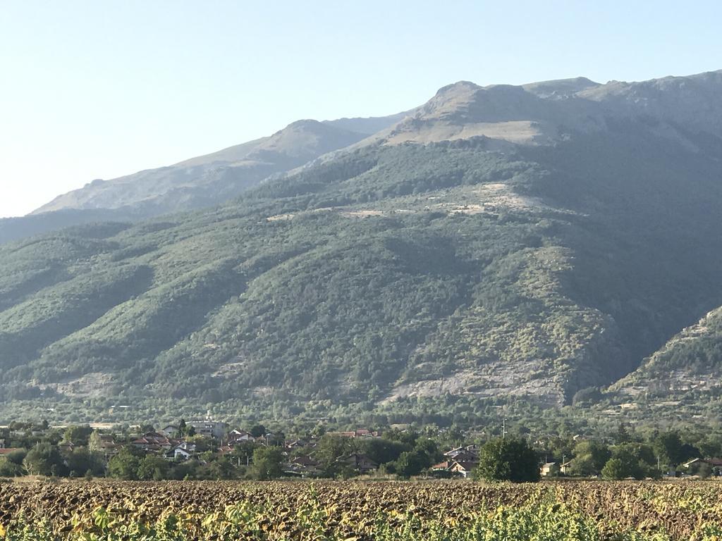 Guesthouse Planinsko Gnezdo Tŭzha Exteriör bild