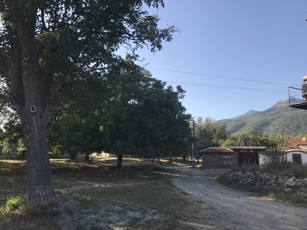 Guesthouse Planinsko Gnezdo Tŭzha Exteriör bild