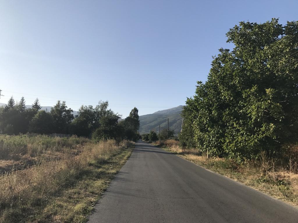 Guesthouse Planinsko Gnezdo Tŭzha Exteriör bild