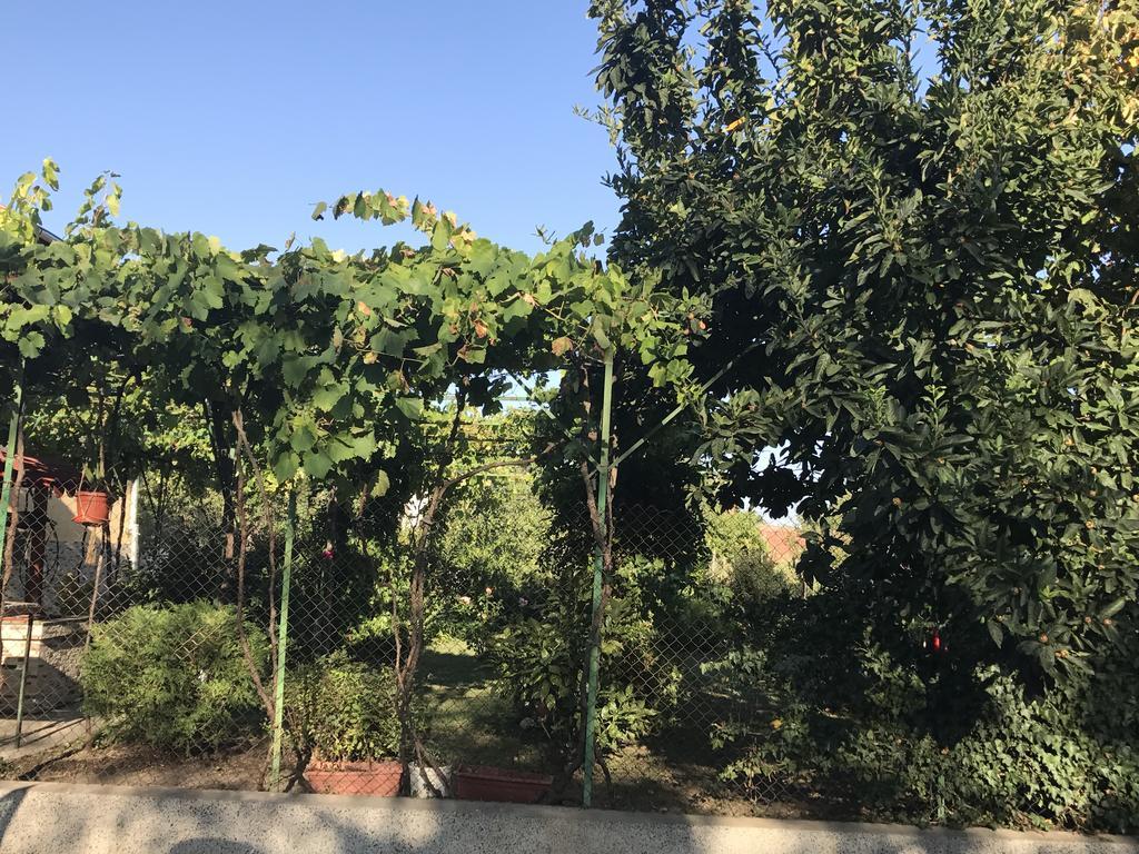 Guesthouse Planinsko Gnezdo Tŭzha Exteriör bild
