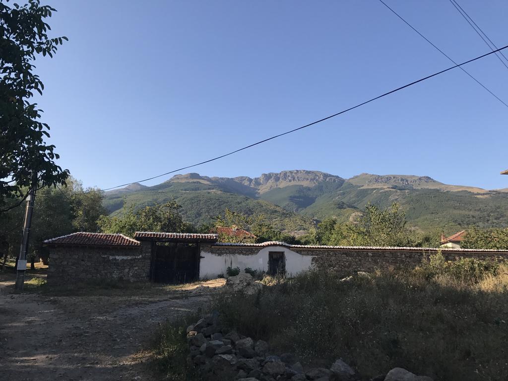 Guesthouse Planinsko Gnezdo Tŭzha Exteriör bild
