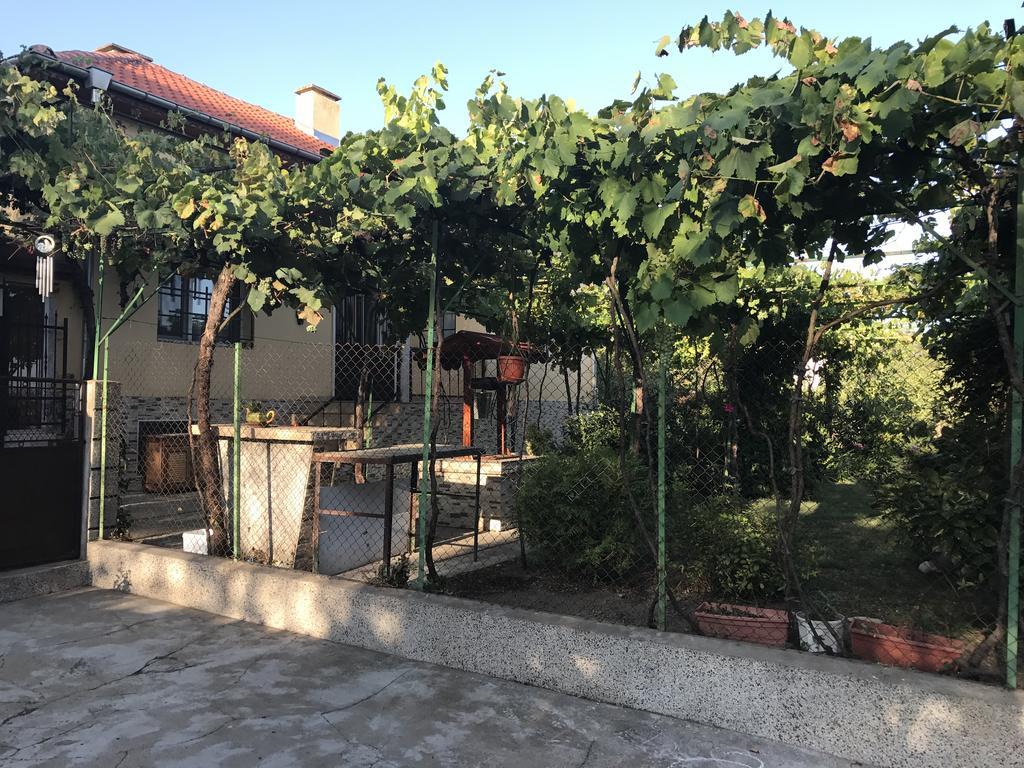 Guesthouse Planinsko Gnezdo Tŭzha Exteriör bild