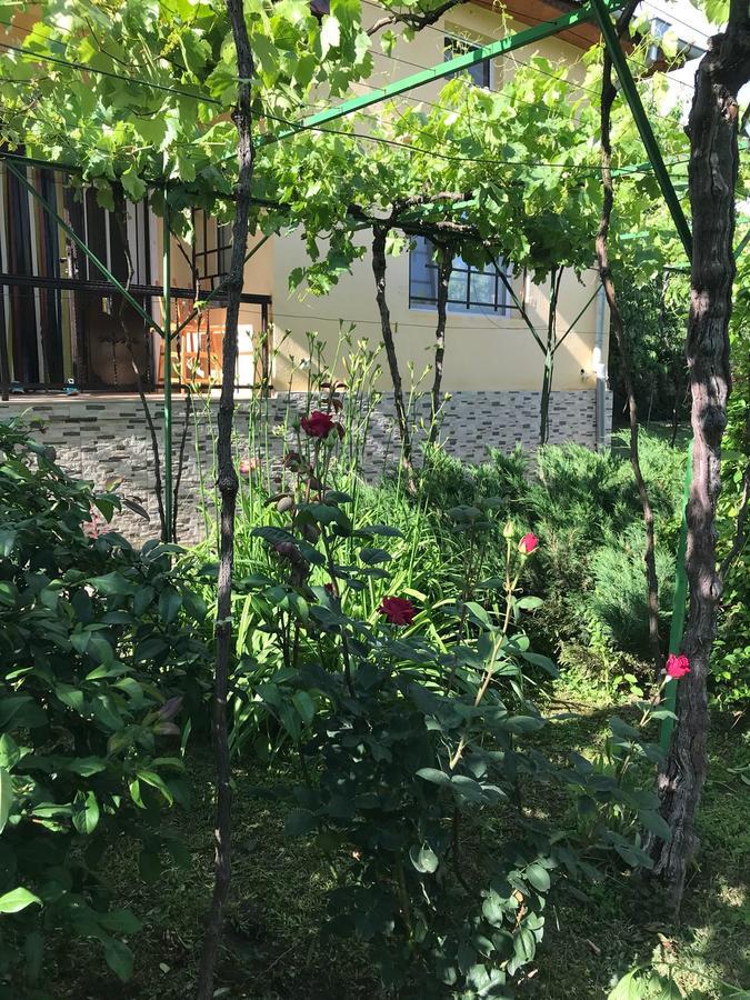 Guesthouse Planinsko Gnezdo Tŭzha Exteriör bild