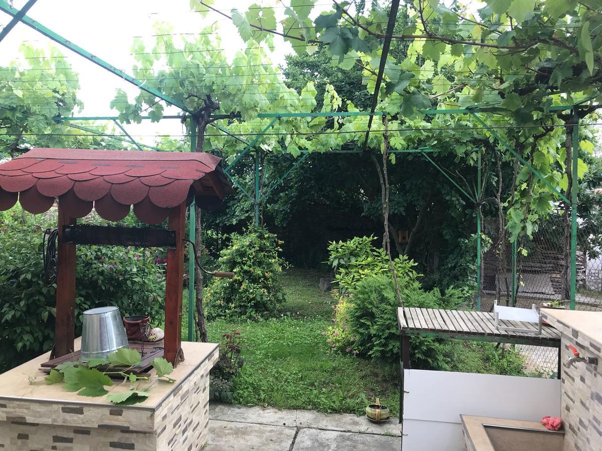 Guesthouse Planinsko Gnezdo Tŭzha Exteriör bild