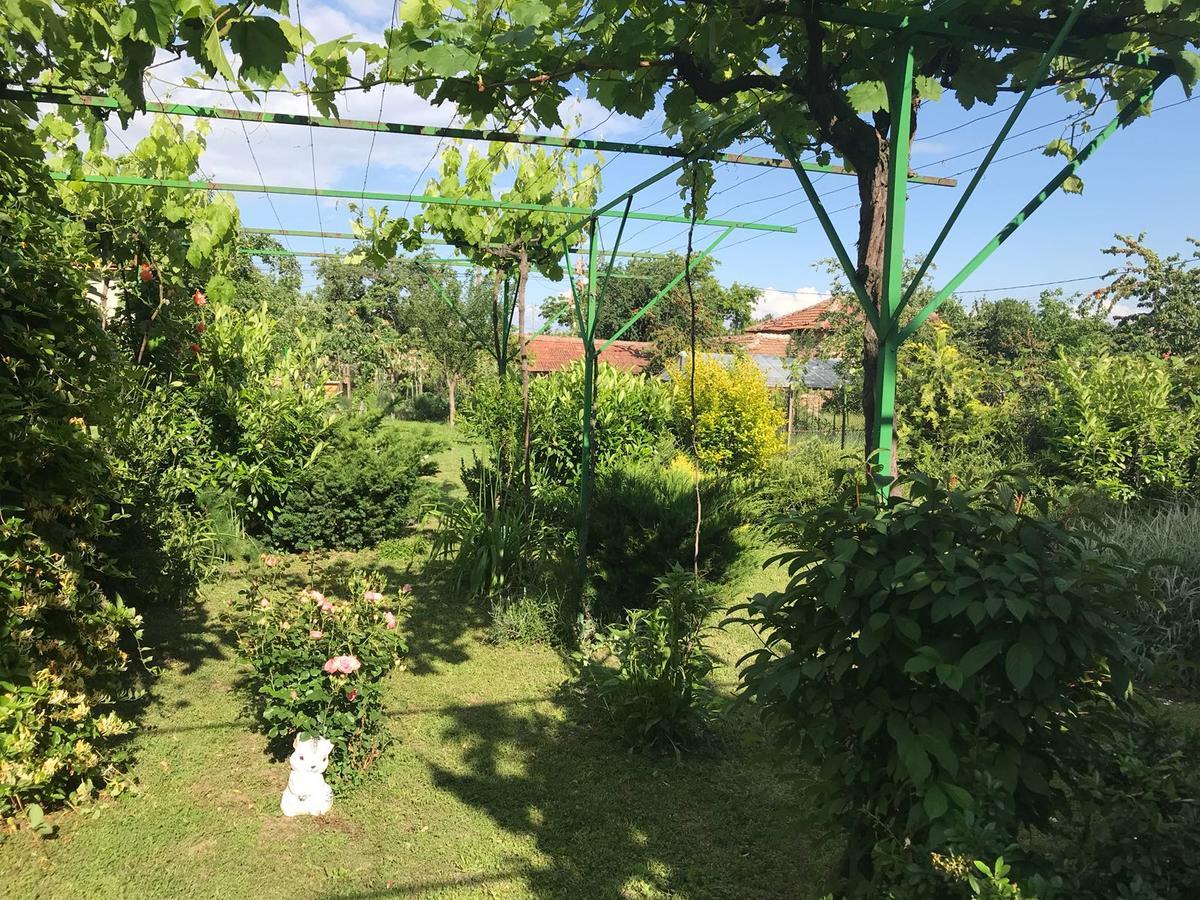 Guesthouse Planinsko Gnezdo Tŭzha Exteriör bild