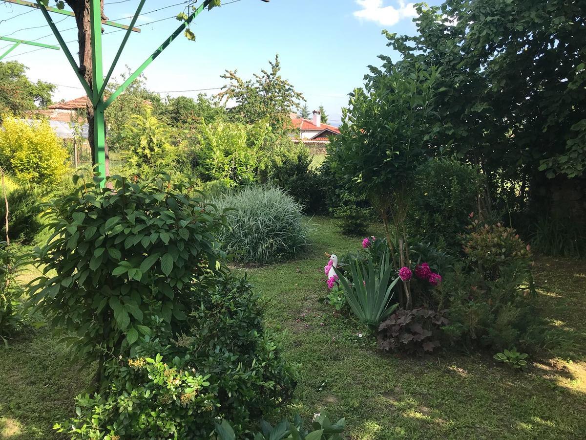 Guesthouse Planinsko Gnezdo Tŭzha Exteriör bild